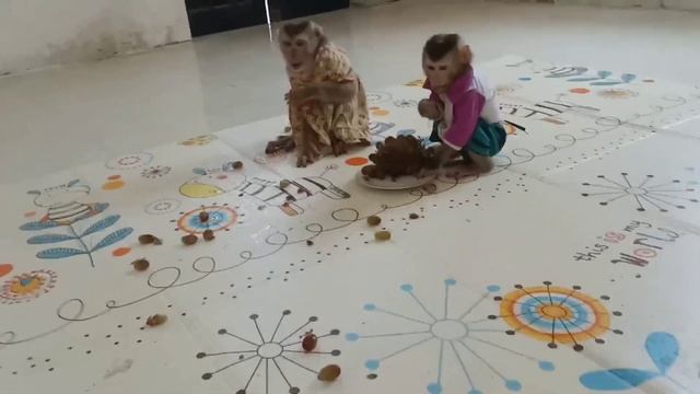 Monkey BoBo was overjoyed because he found what he wanted. смотреть онлайн