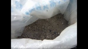 Как Вырастить Большой урожай картофеля? Посадка Удобрение Картофеля при Посадке Добавьте в Лунку