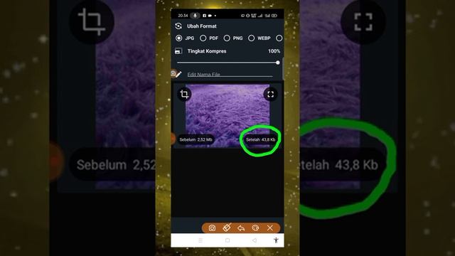 cara mengecilkan ukuran photo dan merubah semua format photo jpg,pdf,png,webp,gif,jpeg,bmpdengan ap смотреть онлайн