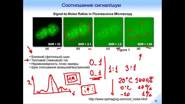 Оптическая Микроскопия. Лекция 7.