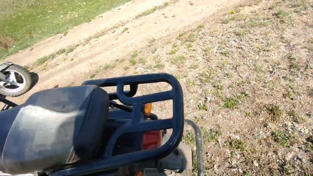 КАТАЕМСЯ С ДРУГОМ на МОПЕДАХ В ЛЕСУ и ПО ПОЛЯМ / ПОКАТУШКИ на МОПЕДЕ АЛЬФА / Мото ПОКАТУШКА на АЛЬФ смотреть онлайн