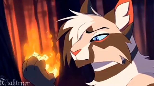 Коты-воители.Кленовница и Уголёк. Камикадзе. смотреть онлайн