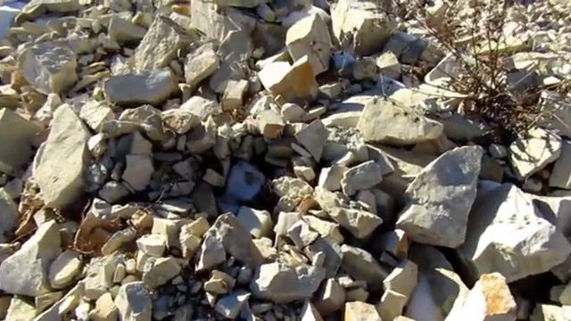 Как найти ракушку которой 65 миллионов лет смотреть онлайн