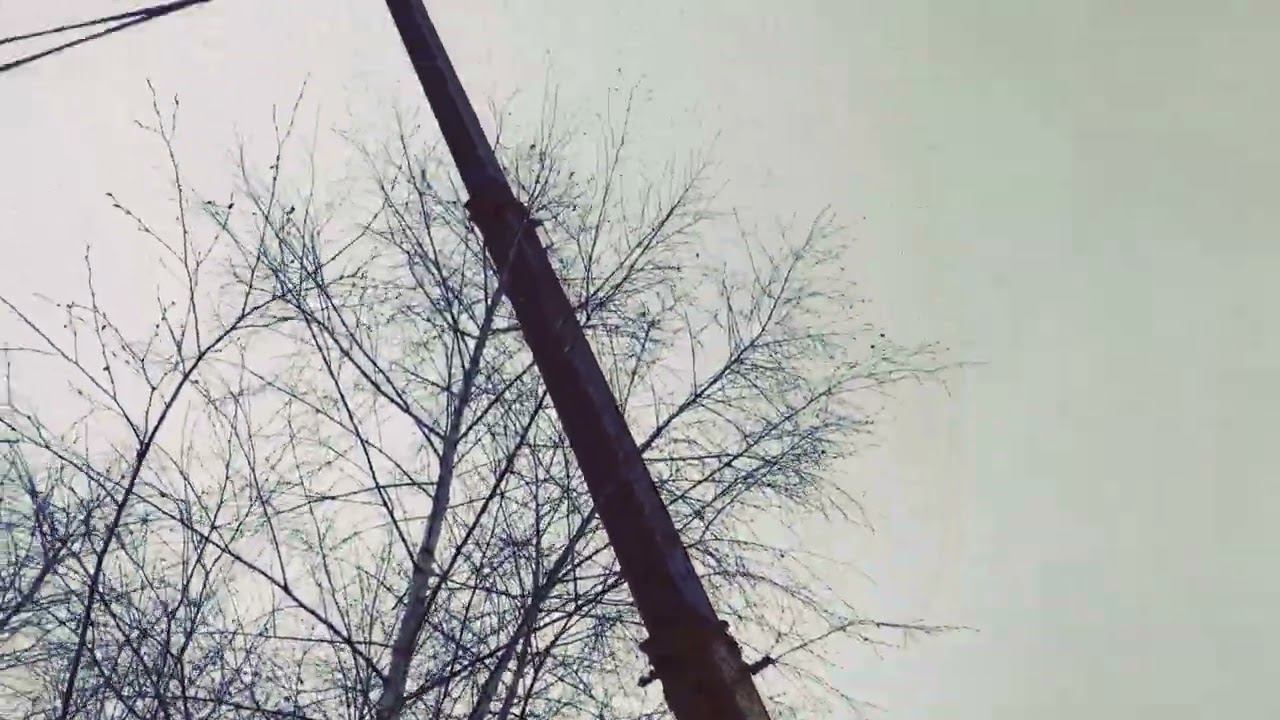 Забор С смотреть онлайн