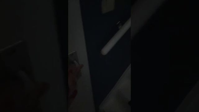 jbl Partybox 310 смотреть онлайн