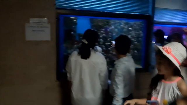 Ташкент, Ташкетский зоопарк, 15.05.2022, часть 16. смотреть онлайн