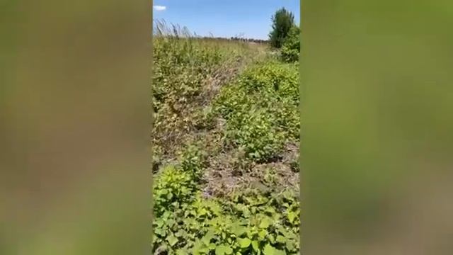 ст Старокорсунская пер семейный 14 8 смотреть онлайн