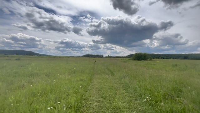 АСМР прогулка с собакой / ASMR walking with dog смотреть онлайн