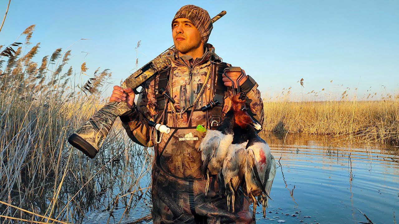 Супер-охота на селезня | Стаи красноголовиков садились на голову