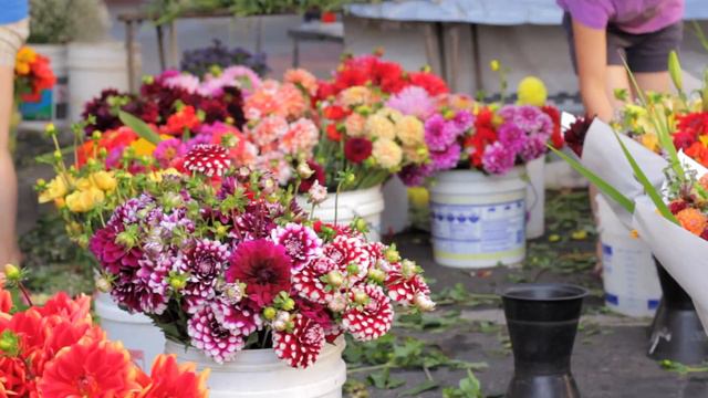Forest Grove Farmers Market 2012 смотреть онлайн