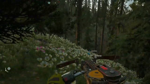 Far Cry New Dawn - прохождение #5 Вторая вылазка и рыбалка.
