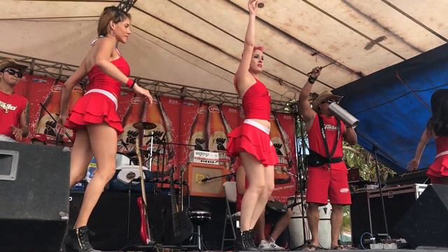 Chicas Gallo feriado en Punta Palma Izabal 2016 смотреть онлайн