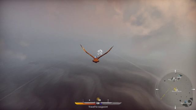The Falconeer : testing some of the new features смотреть онлайн