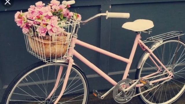 Почему так важно беречь природу смотреть онлайн