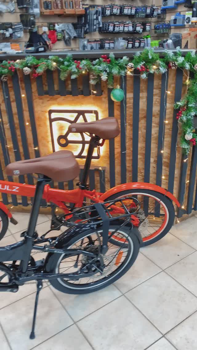 Обновление складного велосипеда Shulz Easy Disk (2024) 20'' | 8 скоростей и дисковые тормоза смотреть онлайн