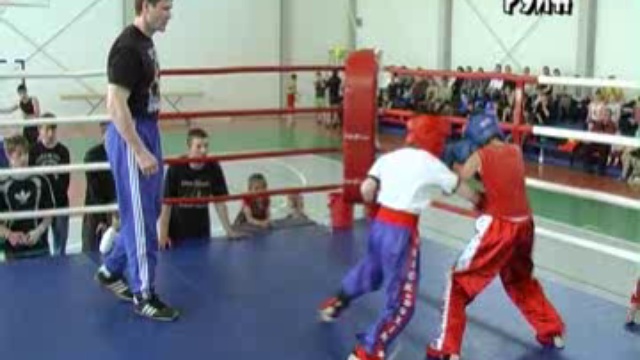 Турнир по кикбоксингу смотреть онлайн