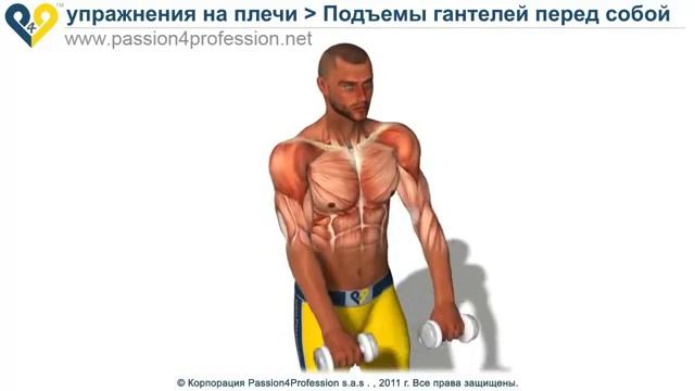 Подъем гантелей перед собой смотреть онлайн