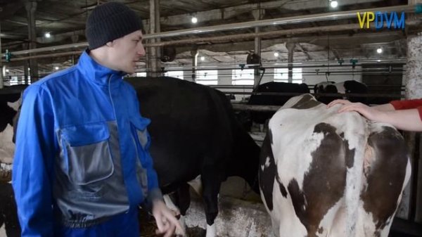 Постановка диагноза. Diagnosis.