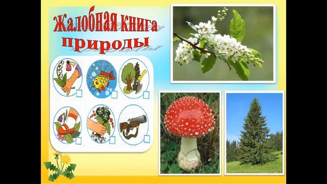 Виртуальная викторина Экологическое ассорти смотреть онлайн