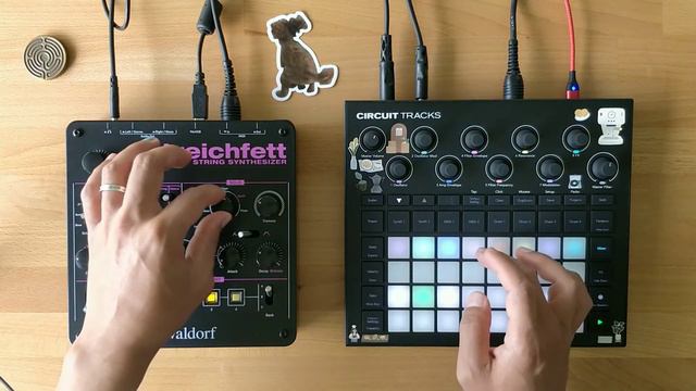 Down in the -disco- park (Jamuary 12) // Circuit Tracks, Waldorf Streichfett смотреть онлайн