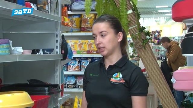 Планета ZOO// Как приучить кошку к лотку? смотреть онлайн