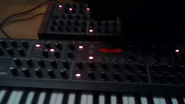 Prophet 08 Synthesizer Poly Chain смотреть онлайн