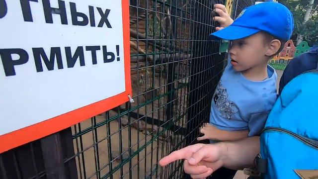 В ЗООПАРКЕ // ЛЕМУРЫ // видео 11 смотреть онлайн