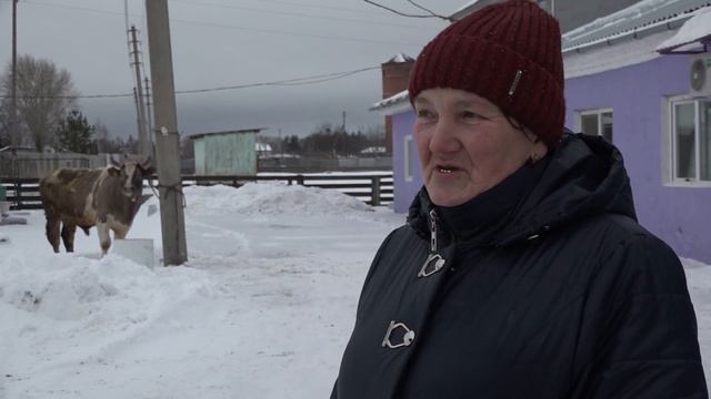 Бык Вахтанг смотреть онлайн