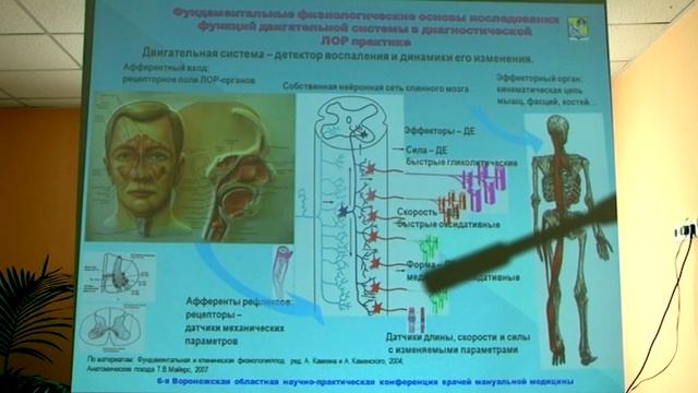 06 Васильчук МВ ЛОР врач и ортопедия смотреть онлайн