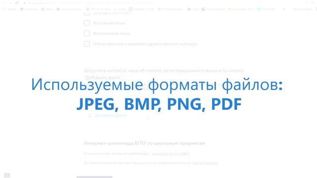 Интернет-олимпиада БГПУ. Как подтвердить регистрацию и оплату смотреть онлайн