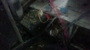 Как запустить змз406 инжектор в гараже 12 ноября 2018 г.