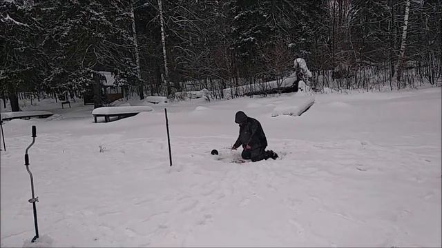 Поимки и сходы на верхнем. Клёвое место Лосиный остров. смотреть онлайн