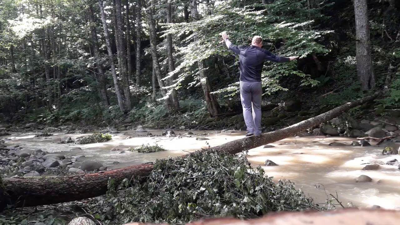 Как перейти через речку по бревну и остаться сухим. смотреть онлайн