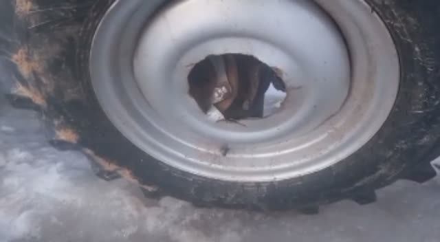 Оторвалось колесо в тракторе Скаут 504 смотреть онлайн