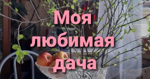 Моя любимая дача. 25 апреля 2022.