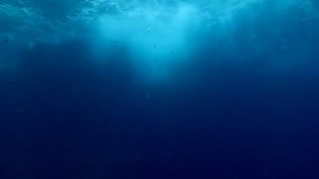 Blue Infinity смотреть онлайн