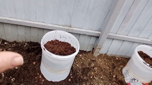 🌺Вазоны для петуньи.🌺План высадки растений в маленьком дворике.💐