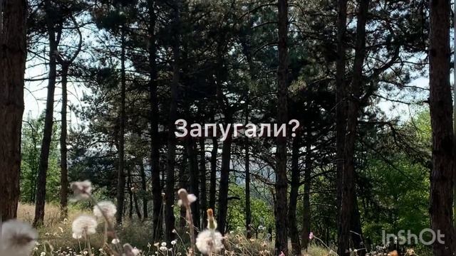 Стих «Иллюзия детства» . Автор: Юлия Жекова. Христианские стихи смотреть онлайн