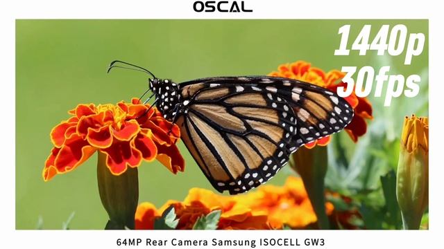 سعر و مواصفات هاتف Oscal Tiger 12 - أداء مدهش بسعر رخيص смотреть онлайн