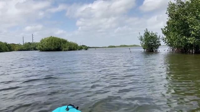 Kayaking Mangrove Forest смотреть онлайн