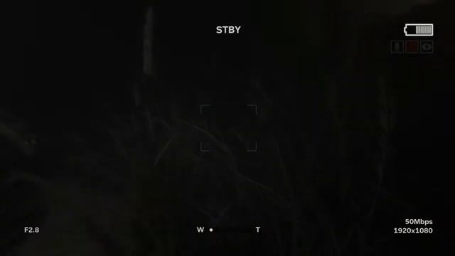 Прохождение Outlast 2 #6 - Жесткий трип смотреть онлайн