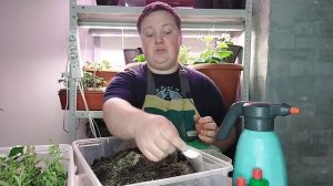 ПРИШЛО ВРЕМЯ ЗАРАБАТЫВАТЬ БОЛЬШИЕ ДЕНЬГИ!!!#борисборисов  #бизнес #петуния