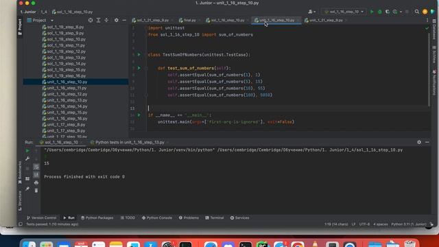 Unit-тесты. Как их использовать для проверки решения на курсе по Python-автоматизации на Stepik смотреть онлайн