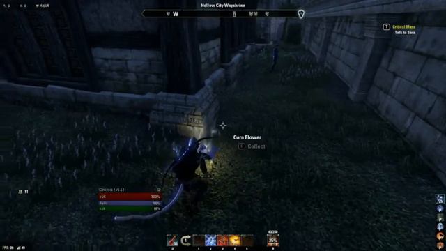 Elder Scroll Online - Alchemy Farming Route смотреть онлайн