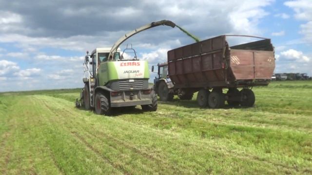 Уборка сенажа 2021: Claas Jaguar 870,John Deere 6750,МТЗ 3522,МТЗ 2022,МТЗ 1221,МТЗ 82,МАЗ 5551 смотреть онлайн