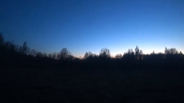 Охота на Вальдшнепа, на Тяге!(Часть 5) смотреть онлайн