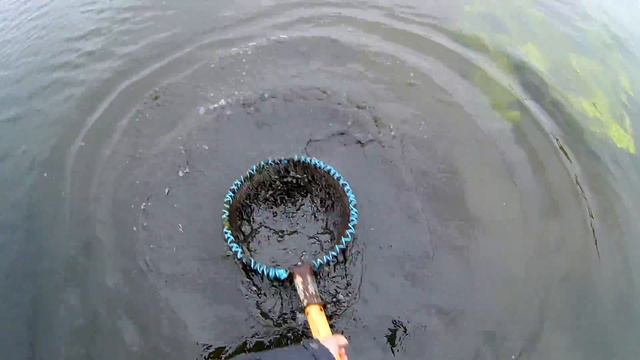 ВЕСЕННИЙ МОТЫЛЬ!!! ЧАСТЬ 2!!! смотреть онлайн