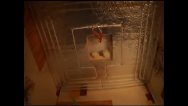 пушок смотреть онлайн