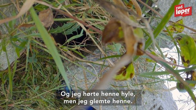 Rikke Isaksen faller stygt i «71 grader nord» - Frank Løke tar skylda смотреть онлайн