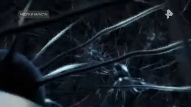 Мозги и капуста - Самые шокирующие гипотезы - 23.11.2021